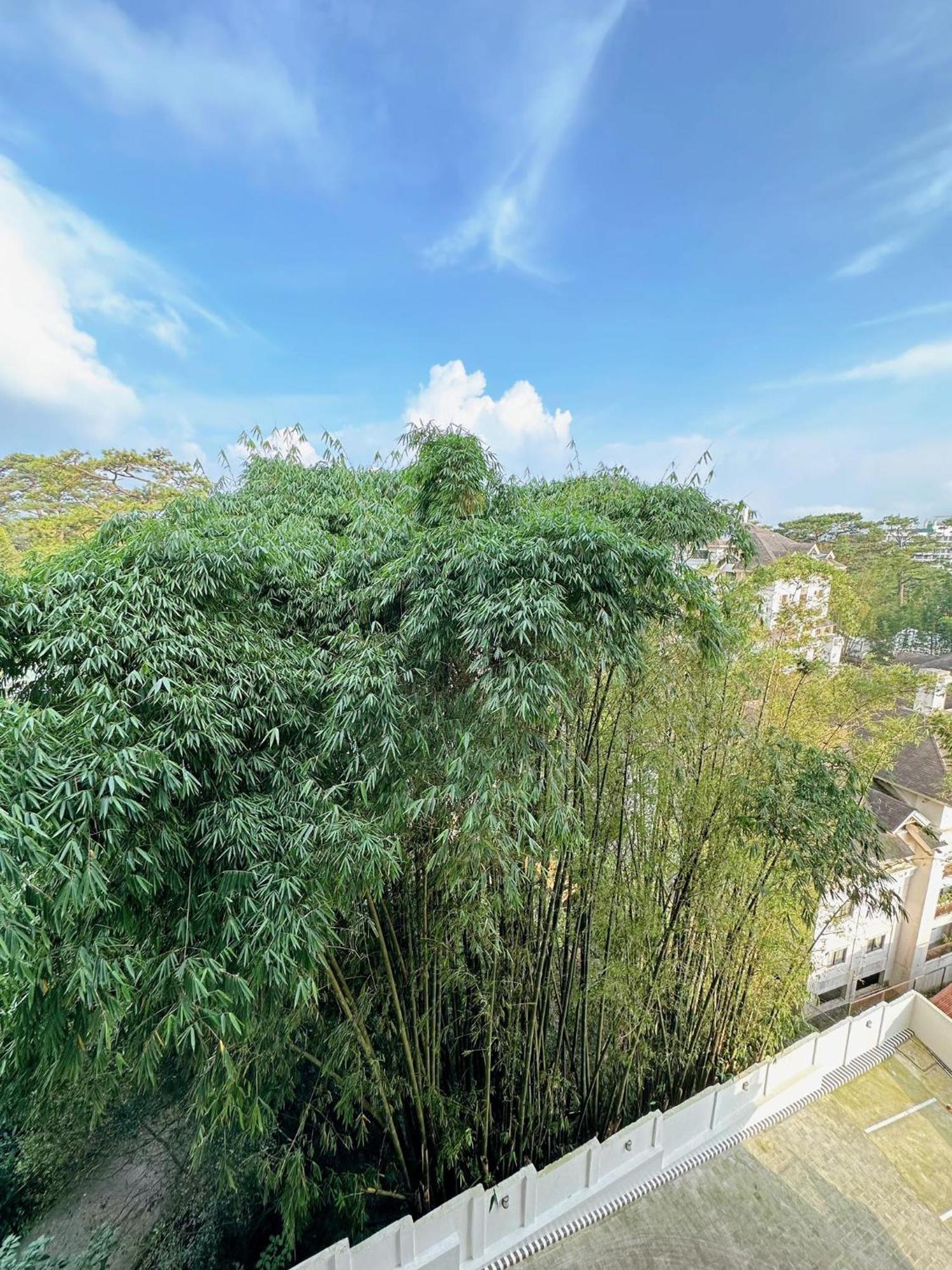Luxury Suites At Brenthill Baguio City Exterior photo